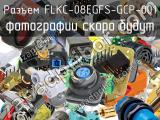 Разъем FLKC-08EGFS-GCP-001 