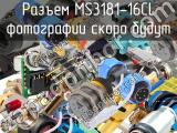 Разъем MS3181-16CL 
