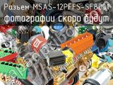 Разъем MSAS-12PFFS-SF8001 