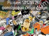 Разъем SIM2N42KG