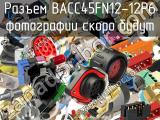 Разъем BACC45FN12-12P6