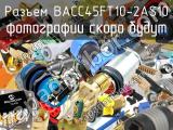 Разъем BACC45FT10-2AS10 