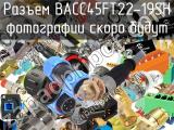 Разъем BACC45FT22-19SH 
