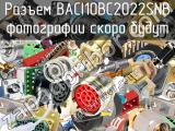 Разъем BACI10BC2022SNB 