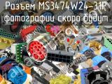 Разъем MS3474W24-31P