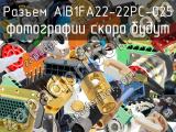 Разъем AIB1FA22-22PC-025 