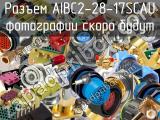 Разъем AIBC2-28-17SCAU 