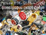 Разъем BSK-17E28-42SD06 