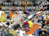 Разъем MS3106A18-19P-RES 