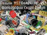 Разъем MS3106A24-11P-RES 