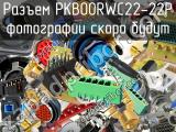 Разъем PKB00RWC22-22P 