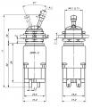2ППМ-С чертеж переключателя.