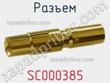 Разъем SC000385