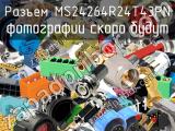 Разъем MS24264R24T43PN 