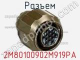 Разъем 2M80100902M919PA 