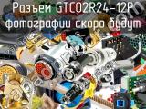 Разъем GTC02R24-12P 