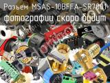 Разъем MSAS-10BFFA-SR7001 