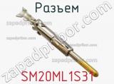 Разъем SM20ML1S31