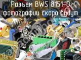 Разъем BWS 8151-0 