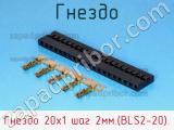 Гнездо Гнездо 20х1 шаг 2мм.(BLS2-20). фотография 3.