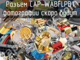Разъем CAP-WABFLPB1 