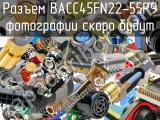 Разъем BACC45FN22-55P9 