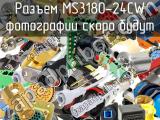 Разъем MS3180-24CW 