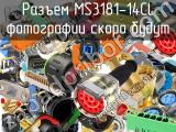 Разъем MS3181-14CL