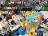 Разъем BACC63CB12-12S8 