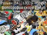 Разъем BACC63CC14-15P10H 