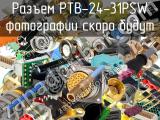 Разъем PTB-24-31PSW 