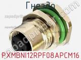 Гнездо PXMBNI12RPF08APCM16 фотография 3.