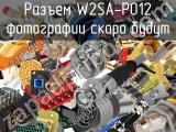Разъем W2SA-P012 