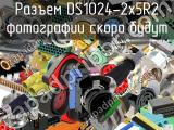 Разъем DS1024-2x5R2 