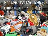 Разъем DS1024-1x9R2 