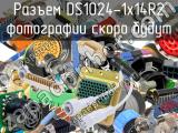 Разъем DS1024-1x14R2