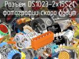 Разъем DS1023-2x15S21 