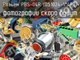 Разъем PBS-04R (DS1024-1*4R2) 