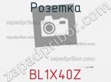 Розетка BL1X40Z