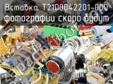 Вставка T2100042201-000 