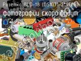 Розетка BLD-18 (DS1071-2*9FCB) 