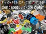 Гнездо PBS-02R (DS1024-1*2R2) 