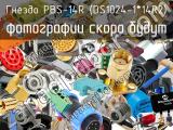 Гнездо PBS-14R (DS1024-1*14R2) 