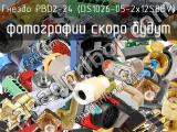 Гнездо PBD2-24 (DS1026-05-2x12S8BV)