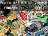Розетка MIMS-16TR-U (1-215079-6) 