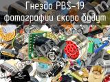 Гнездо PBS-19 