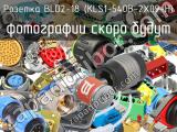 Розетка BLD2-18 (KLS1-540B-2X09-H)