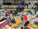 Розетка BLS2-16 (KLS1-540B-1X16-H) 