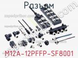 Разъем M12A-12PFFP-SF8001 фотография 2.
