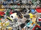 Разъем TMS-110-02-G-D 
